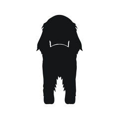 irish setter pet dog species silhouette