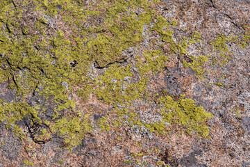 Granite rocks overgrown with moss and lichen.
