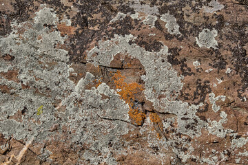 Granite rocks overgrown with moss and lichen.