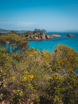 Randonn&eacute;e proche du Fort de Br&eacute;gancon, r&eacute;sidence du pr&eacute;sident Fran&ccedil;ais, bormes les mimosas, var, france - Hiking close to Bregancon Fort, french presidential residence, bormes les mimosas, var, france