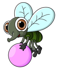 The cute flies is flying and holding a candy ball