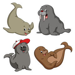The group of seals are smiling and happy playful