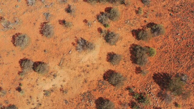 From Red soil near Broken Hill town in outback Australia up to blue sky &ndash; 4k.
