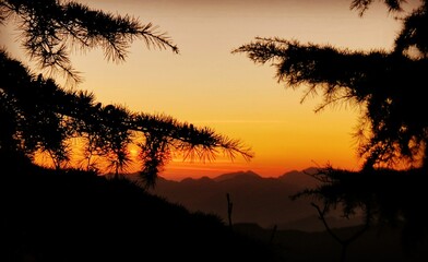 Fototapeta premium nature love