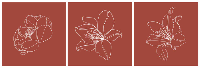 Set of templates with flowers in minimal linear style. Botanical icon. Card design. 