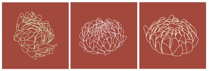 Set of templates with flowers in minimal linear style. Botanical icon. Card design. 