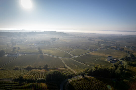 SUPERB AERIAL SHOOT OF THE SAINT EMILION VALLEY