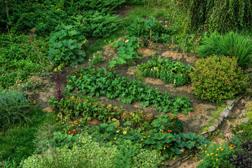 organic garden with vegetables and flowers