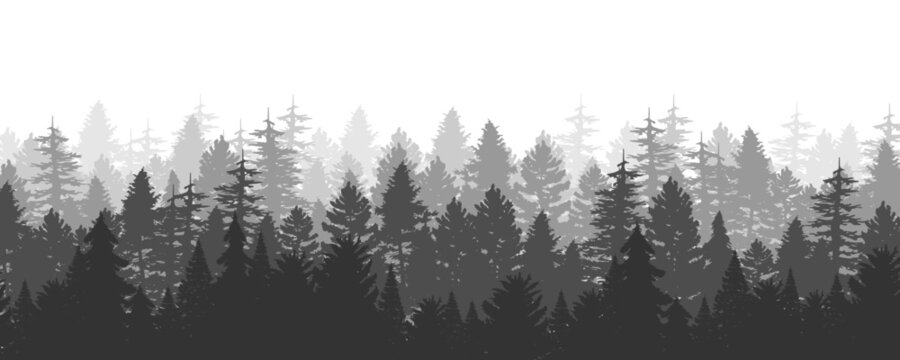 Black tree forest background. Hand drawn isolated illustrations. tree for winter season.