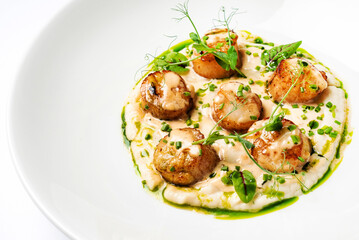 Cheese scallops with seared french fries and herbs on a luxury plate.