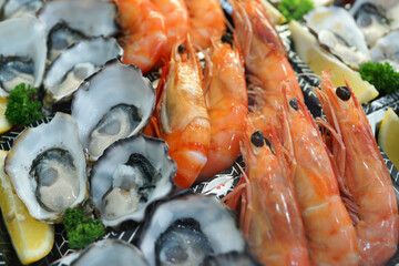 Fresh oysters and prawns selling in Sydney seafood market stall