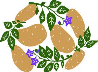 Drawn potatoes, green sprigs with purple flowers isolated on a white background. Vector illustration.