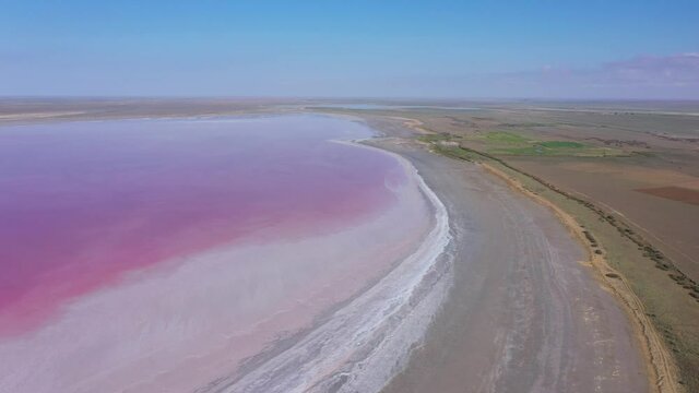 Pink salty lake Manych. Saline with pink plankton. Aerial wide shot from top to bottom on a summer sunny day. Dagestan, Russia