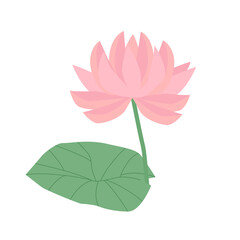 Isolated flat simple water lily, pink lotus with leaf