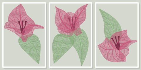 frames with openwork bougainvillea flowers wall art vector set - for wall framed prints, canvas prints, poster, home decor
