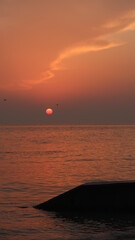 Korea sea, Sunset, sunrise, seagull, wave, water, new year