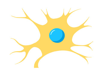 The structure of the neuron, the cell of the nervous system.