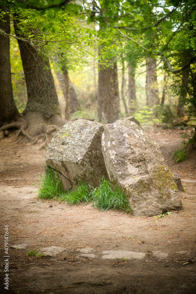 Wall mural Le tombeau de Merlin en forêt de Brocéliande en Bretagne