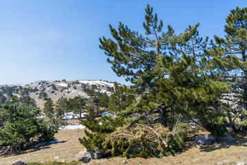 Fototapeta na wymiar Image of a mountain plateau.