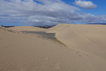 Dünen von Maspalomas