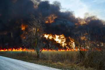 Wildfires. Burning estuary. Fire in the steppe.