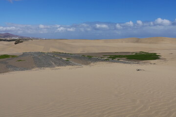 Fototapeta na wymiar Dünenlandschaft Maspalomas auf Gran Canaria