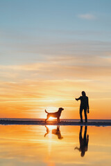Fototapeta premium the silhouette of a man against the background of a sunset on a lake or sea. a woman or a man on the background of the setting sun walks and plays with his dog in nature, the friendship of man and dog