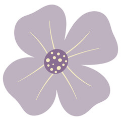 Flower vector, flower illustration, floral vector, botanical vector