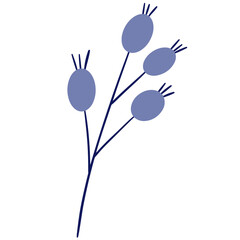 Flower vector, flower illustration, floral vector, botanical vector