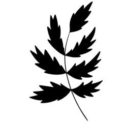 Leaf vector, leaf illustration, plant vector