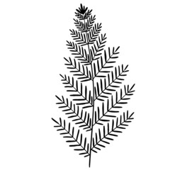 Leaf vector, leaf illustration, plant vector