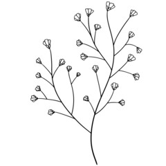 Flower vector, floral vector illustration, flower line art