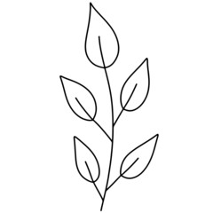 Leaf vector, leaf illustration, plant vector