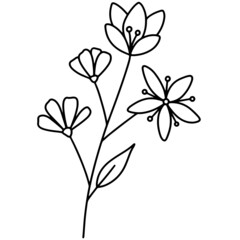 Flower vector, floral vector illustration, flower line art