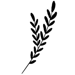 Leaf vector, leaf illustration, plant vector