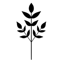 Leaf vector, leaf element illustration, floral vector, botanical silhouette