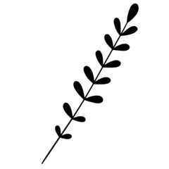 Leaf vector, leaf element illustration, floral vector, botanical silhouette