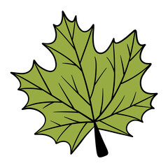 Fall leaf, autumn leaf, leaf illustration, maple leaf