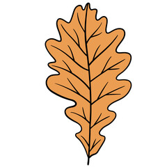 Fall leaf, autumn leaf, leaf illustration, vector