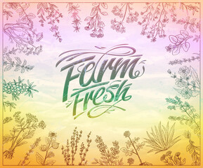 Farm fresh banner design template with organic natural herbs on a background, farm fresh market hand drawn illustration
