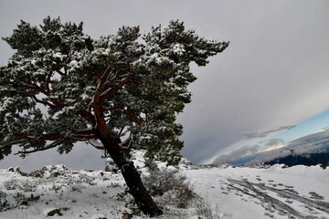 Mont Caume sous la neige à Toulon  La rade blanche