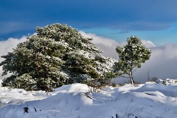 Mont Caume sous la neige à Toulon  La rade blanche