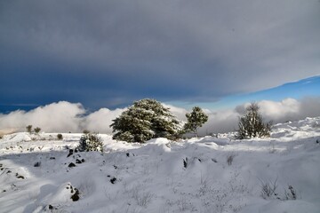Mont Caume sous la neige à Toulon  La rade blanche