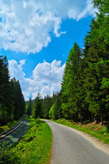 Fototapeta premium Beautiful railway passing through the green forest.