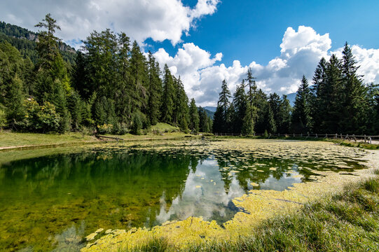 Marinzenh&uuml;tte, artificial water lily pond pool. Marinzen Alm Alpe di Siusi (Seiser Alm), Suise, Dolomite Alps, Italy.
