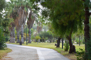 road for walking in  park along  sea. stone path promenade in a green park
