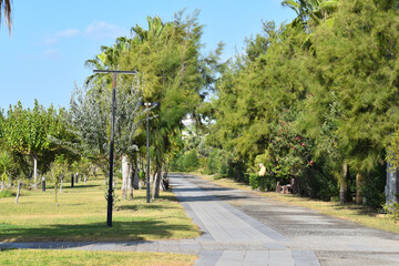 Fototapeta na wymiar road for walking in park along sea. stone path promenade in a green park