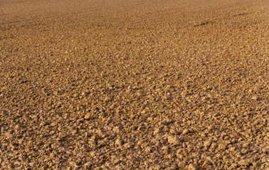 Ploughed field