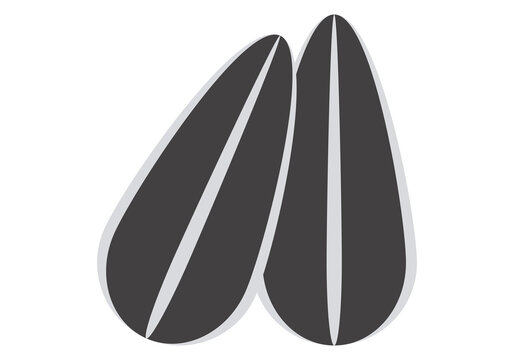 Dos pillas de girasol en fondo blanco. 