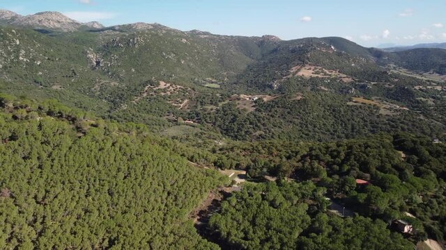 Aerial view of a forest in northern sardinia with typical mediterranean vegetation